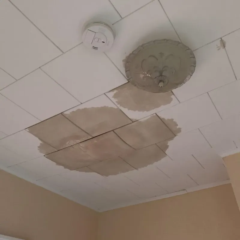Ceiling Water Damage Repair in Alleghenyville, PA