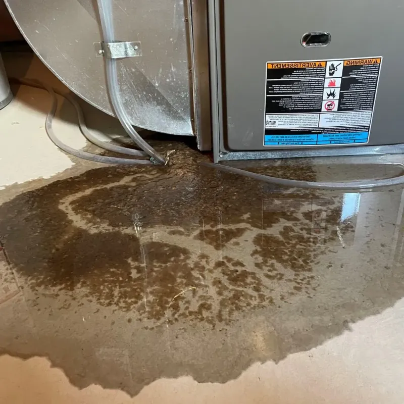 Pipe Burst and Leak Restoration in Alleghenyville, PA