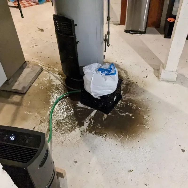 Sewage Backup Cleanup Service in Alleghenyville, PA